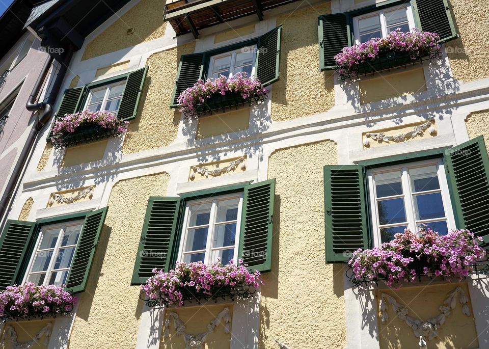 An alpine house with bright flowers 