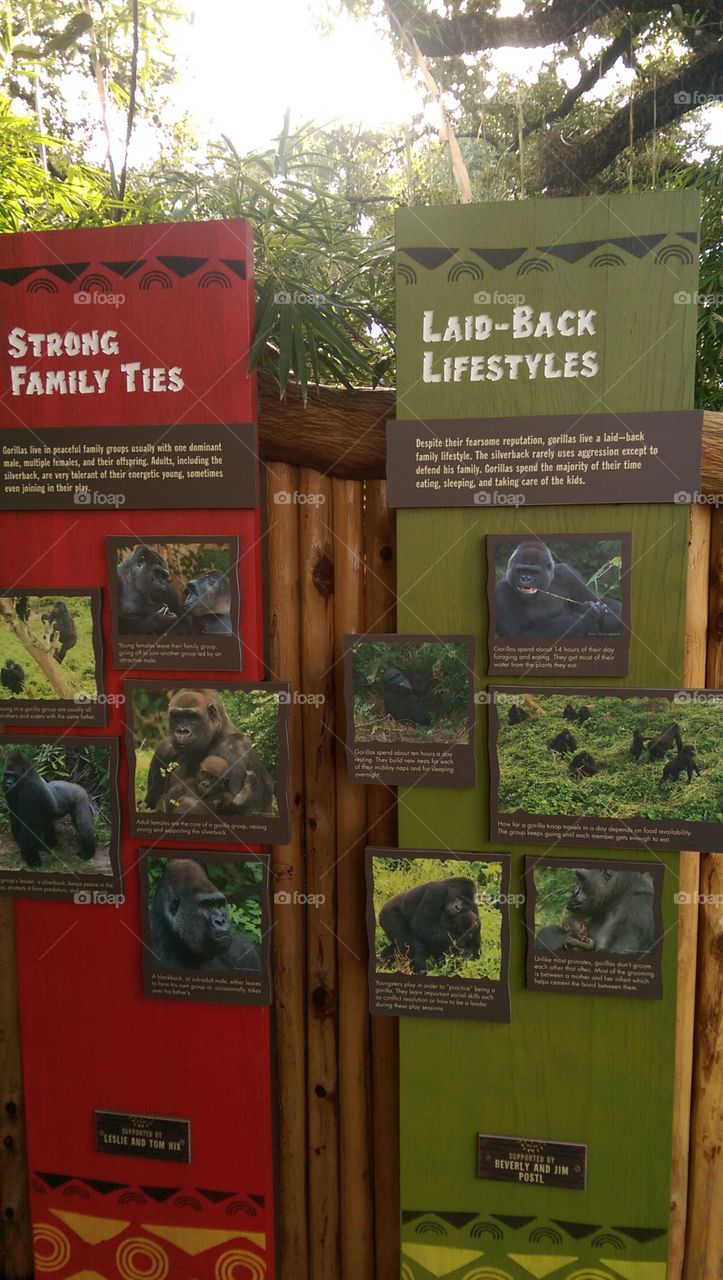 No Person, Outdoors, Wood, Text, Landscape