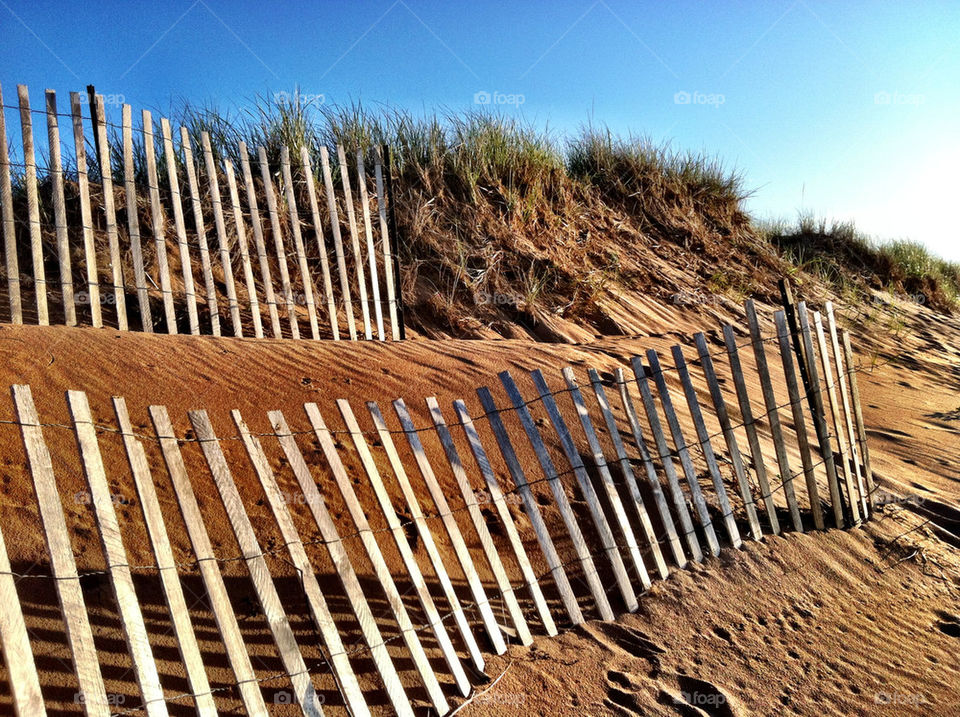 beach grass summer fence by cynthiadennis