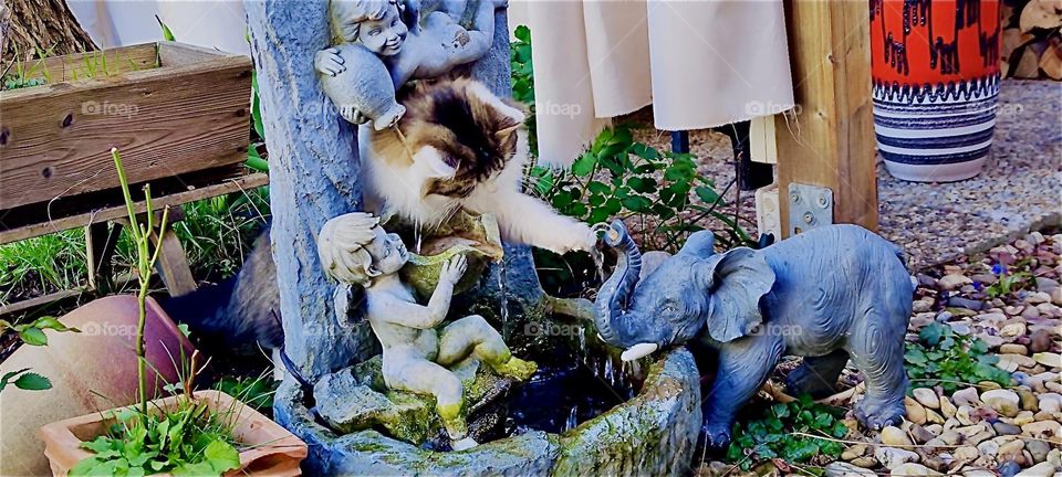 „Linda“, the cat has found a new toy to play with: a small fountain with an angel and an elephant statue and a hole big enough to put her head through so she can swat at the water with her paws. 2024. Hypnotic Productions