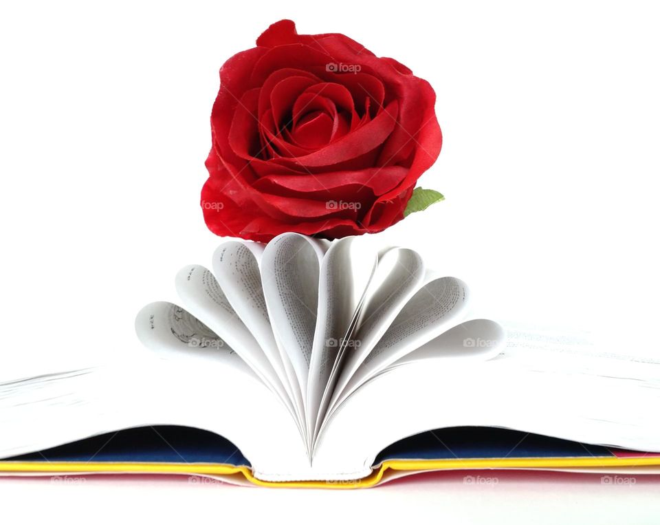 Rose and book