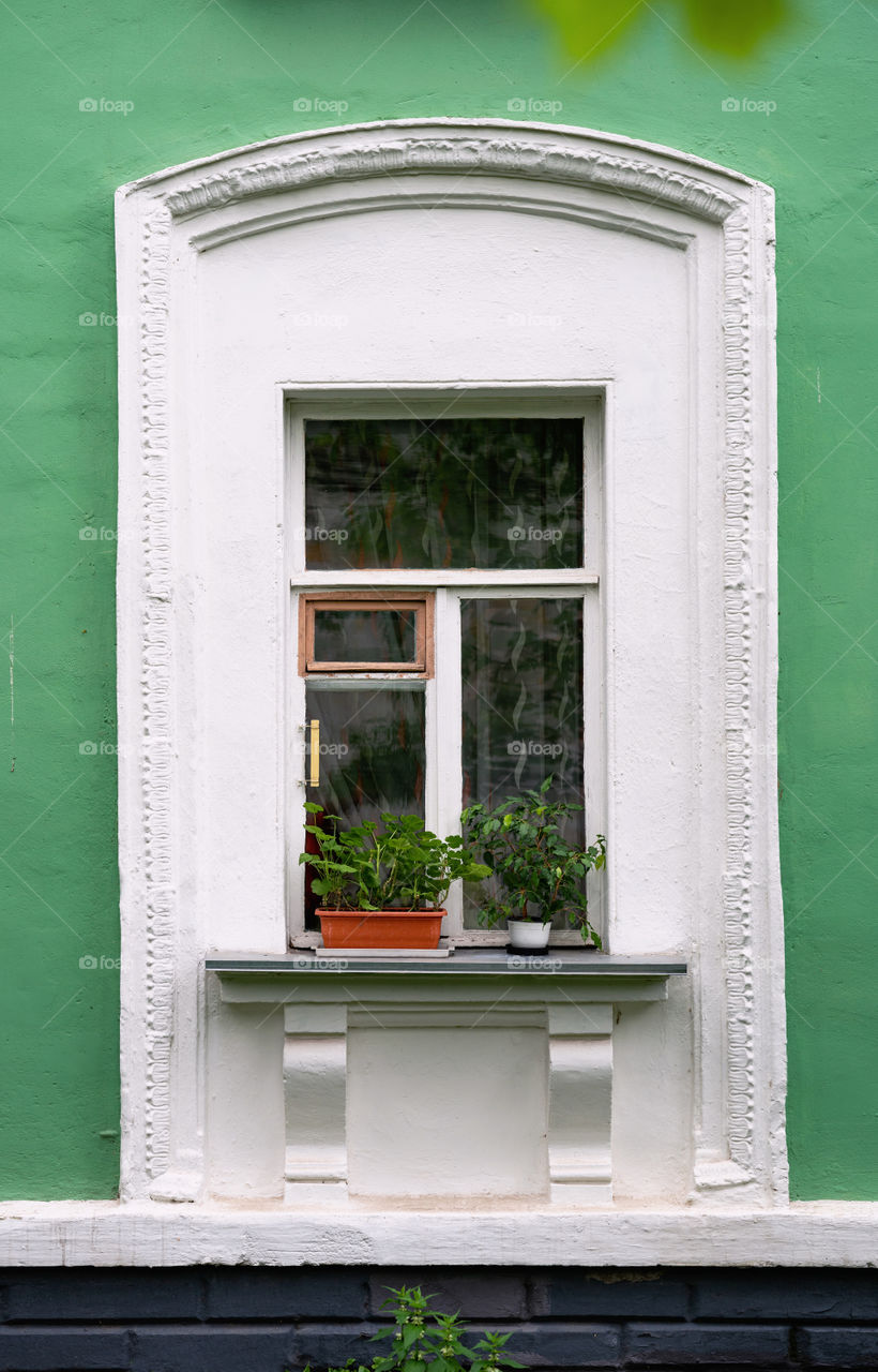 White window on green wall. House plants on windowsill. Pots for flowers