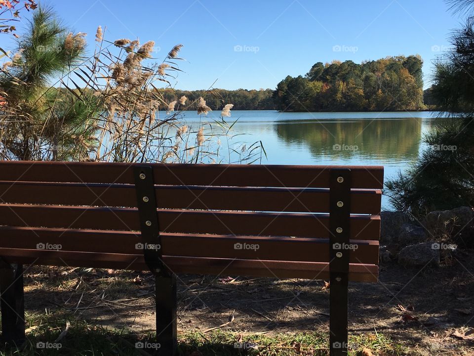 Park bench view of the lake