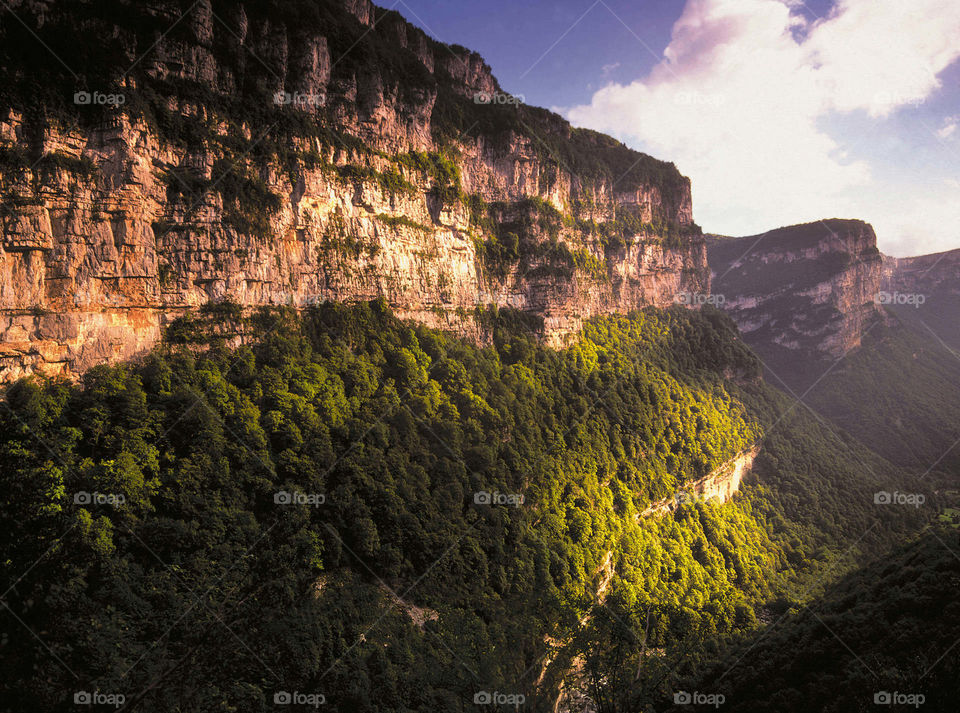 Chartreuse Alps 