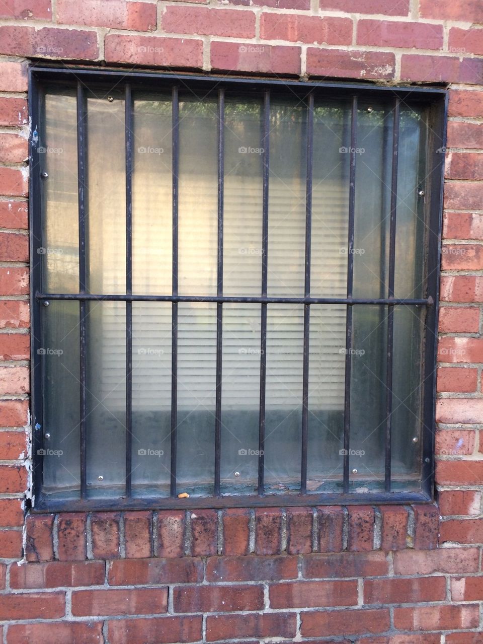 Reinforced Window