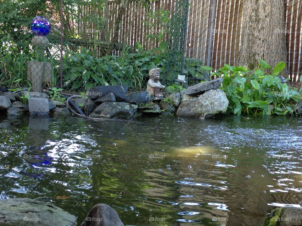 Koirala fish pond in New England shade.