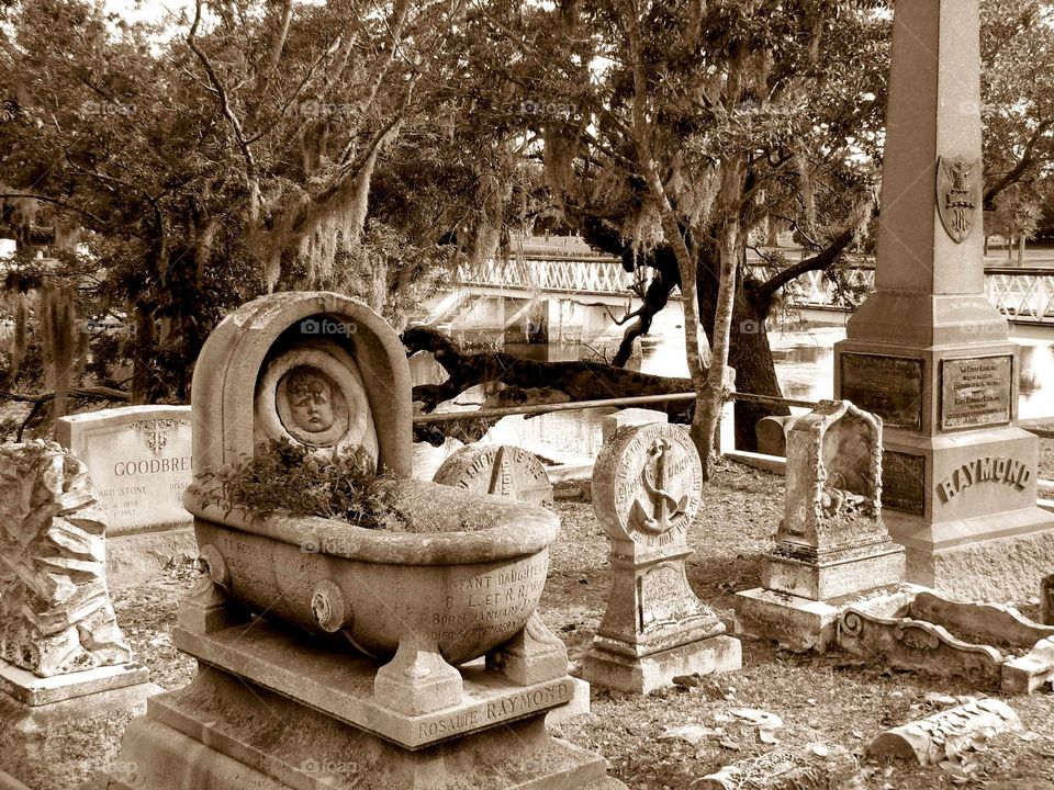 Cemetery in Charleston. Spooky cemetery in Charleston, SC