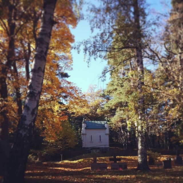 Autumn