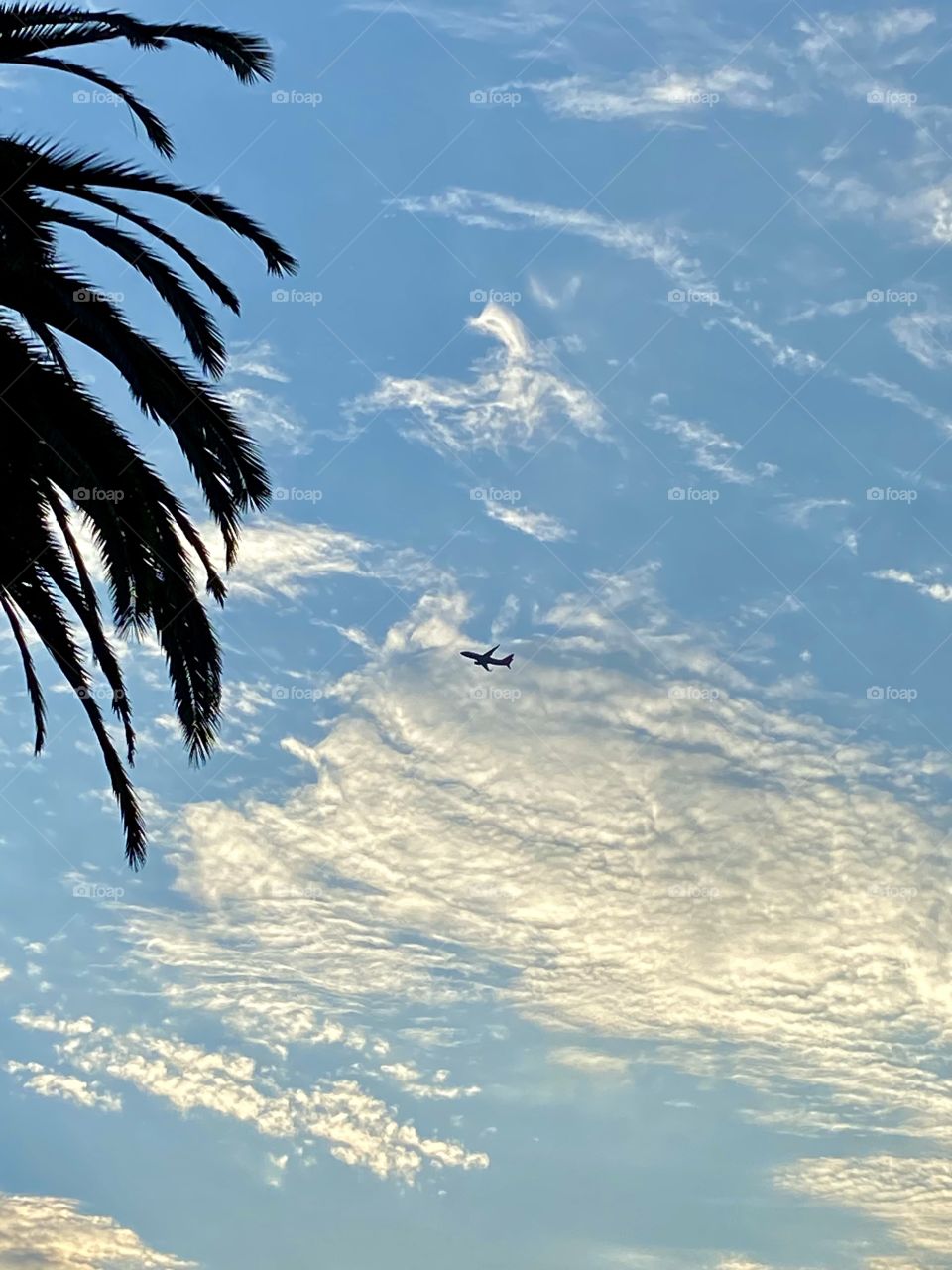 View of a plane taking off from John Wayne Airport (SNA) from Fashion Island in Newport Beach California 