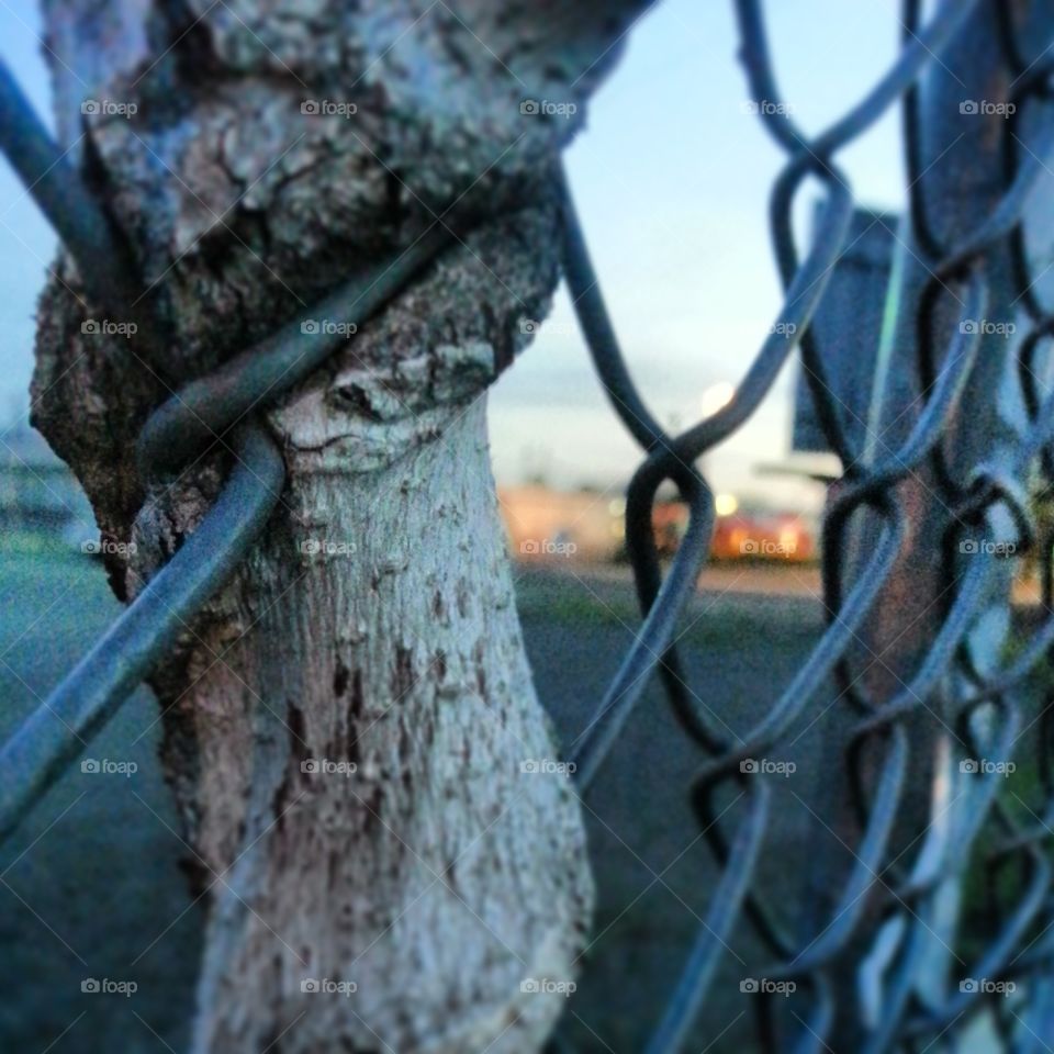 Wire, No Person, Fence, Nature, Outdoors