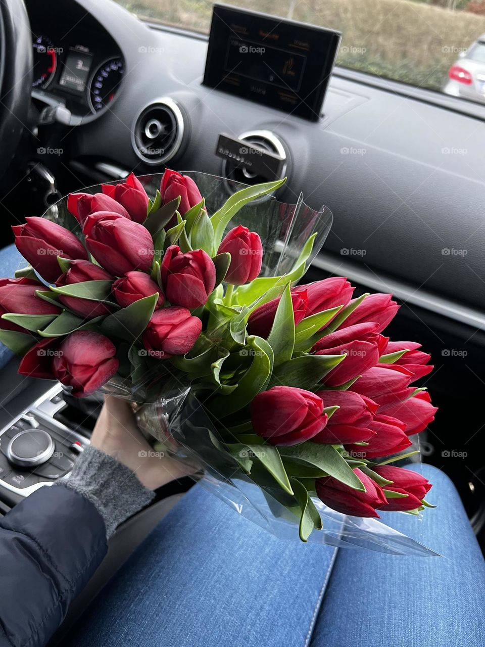 Tulips ❤️