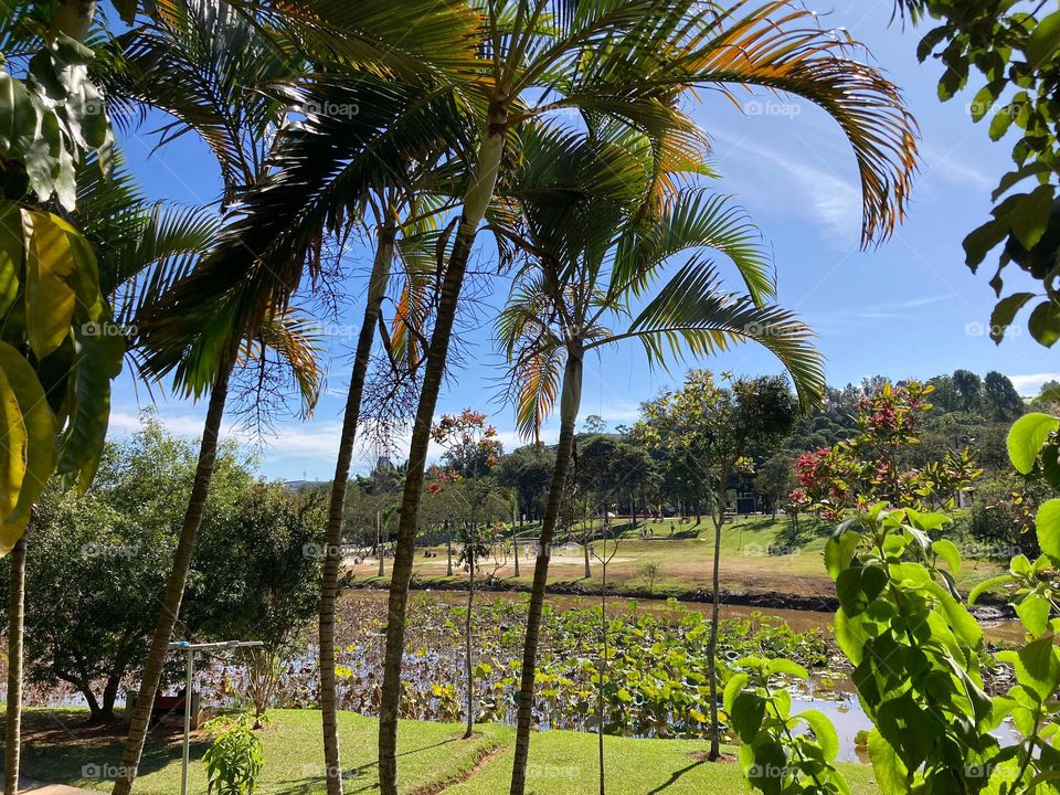 🇺🇸 Pleasant morning! Green and blue form the perfect combination. / 🇧🇷 Manhã aprazível! O verde e o azul formam a combinação perfeita.