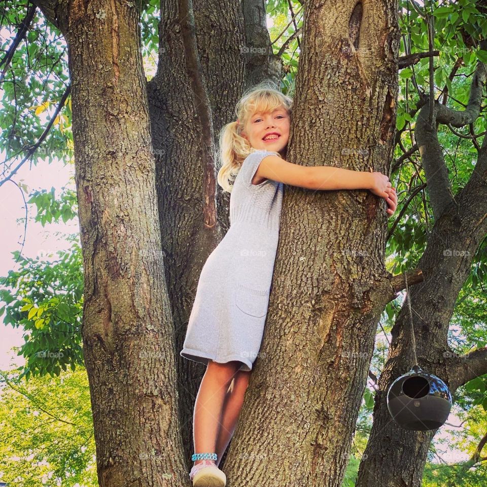 Summer fun climbing trees