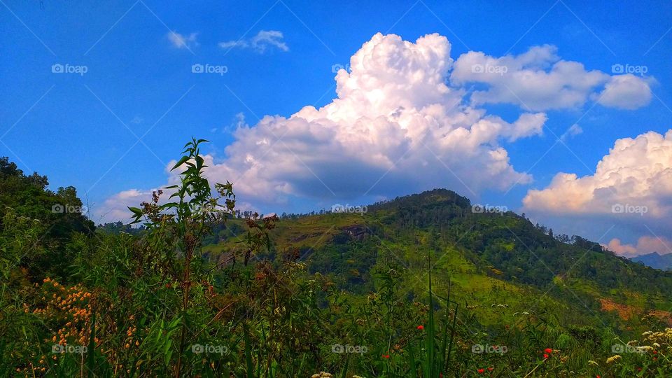 Beauty of mountains