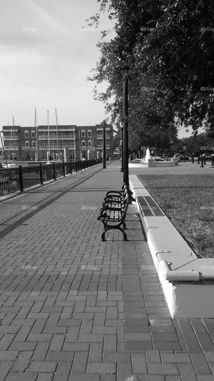 sidewalk park grayscale