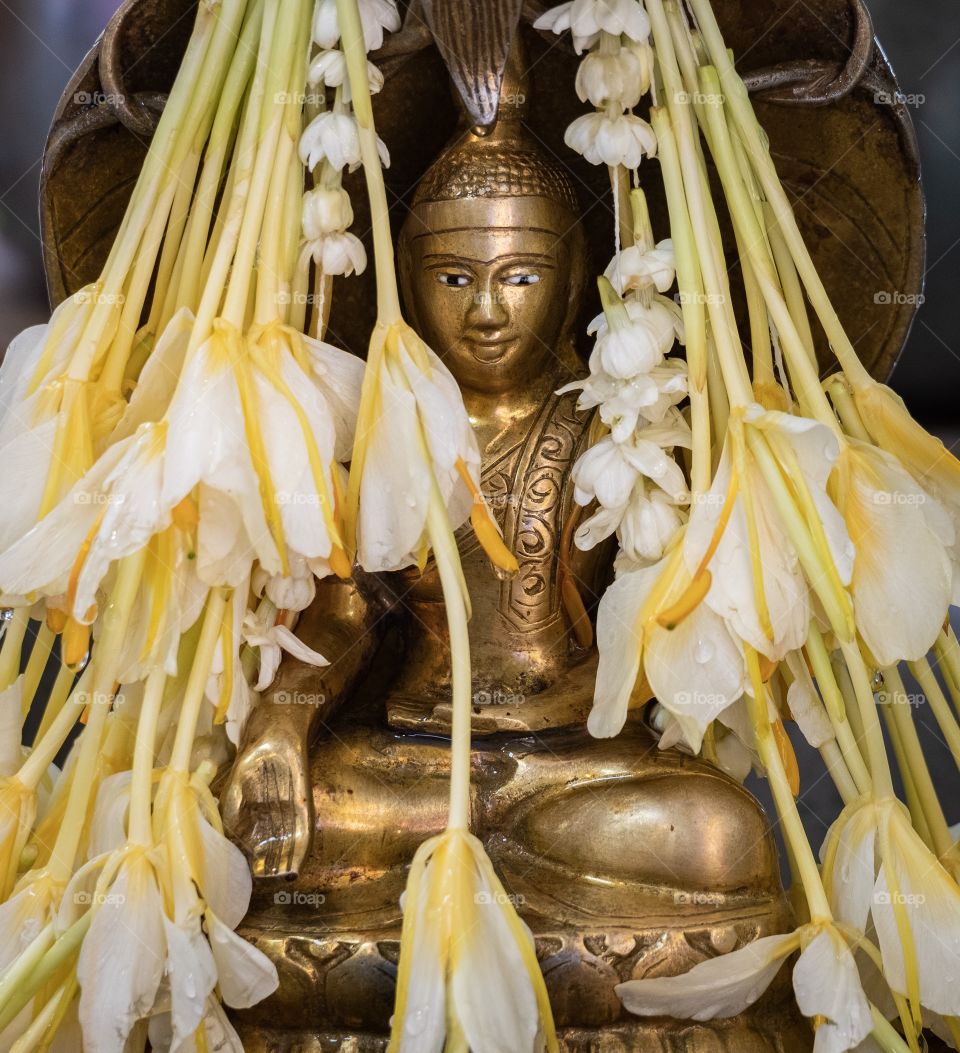 A Beautiful Buddha behind flower 