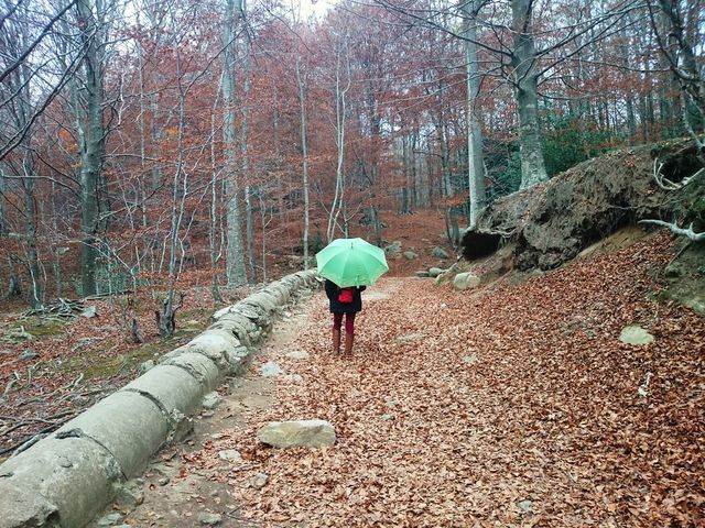 Autumn 