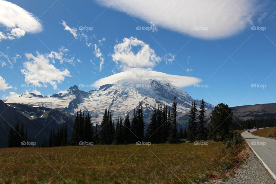 View of nature during winter