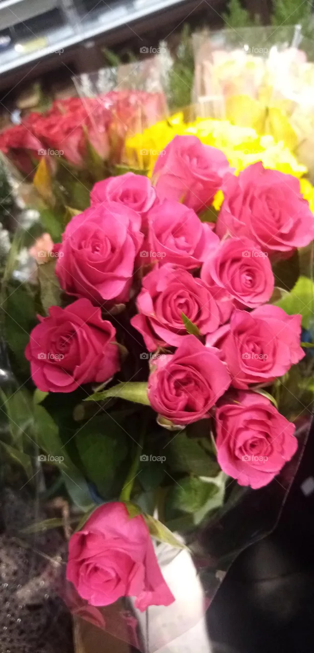 Blumen