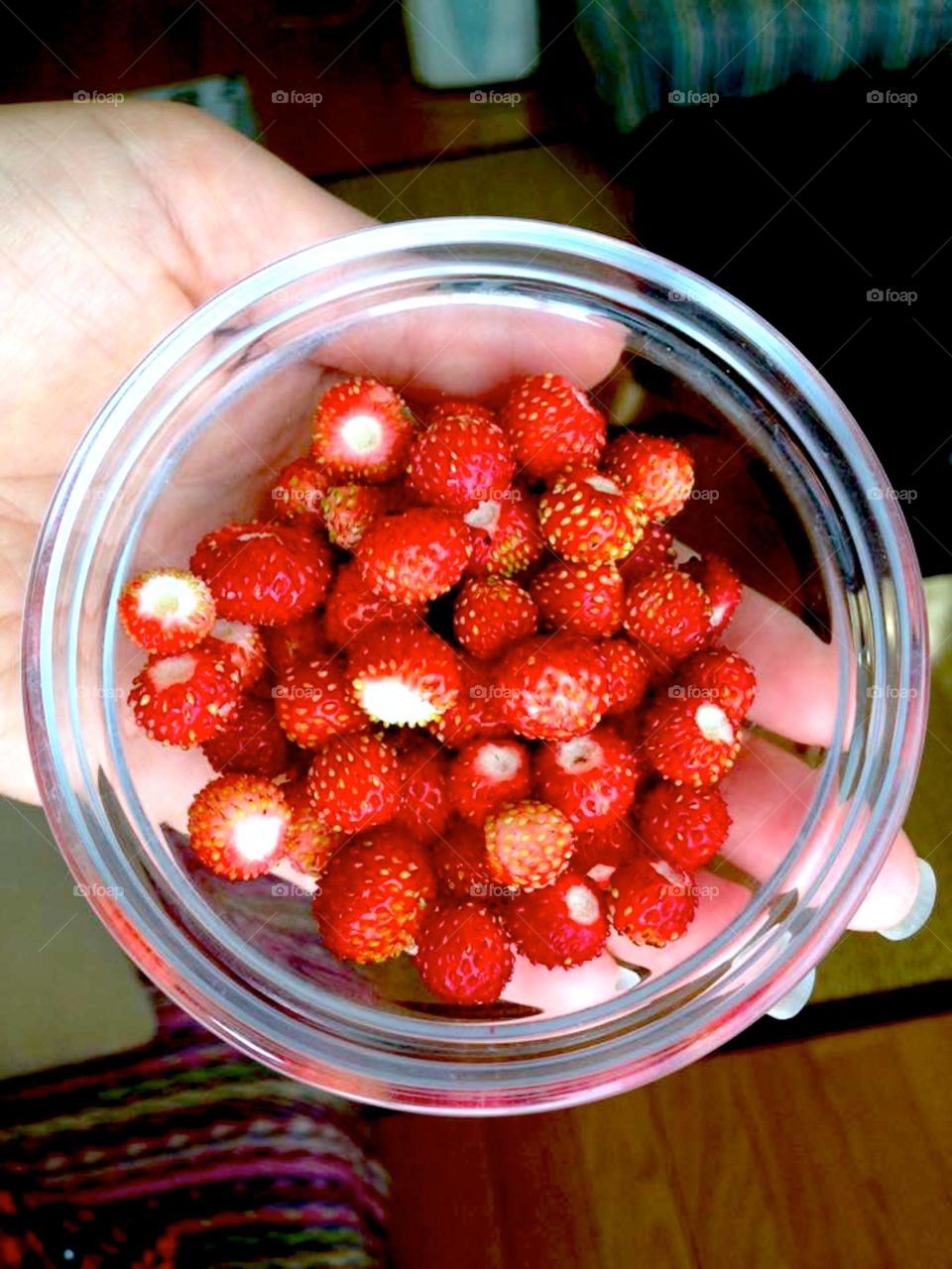 wild strawberry