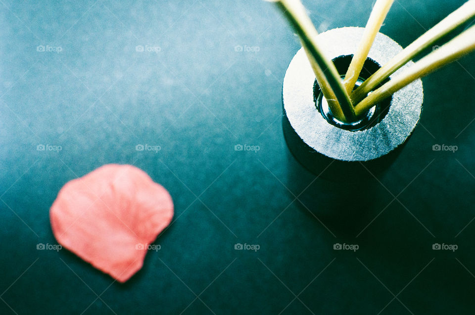 Rose petal and pencil case