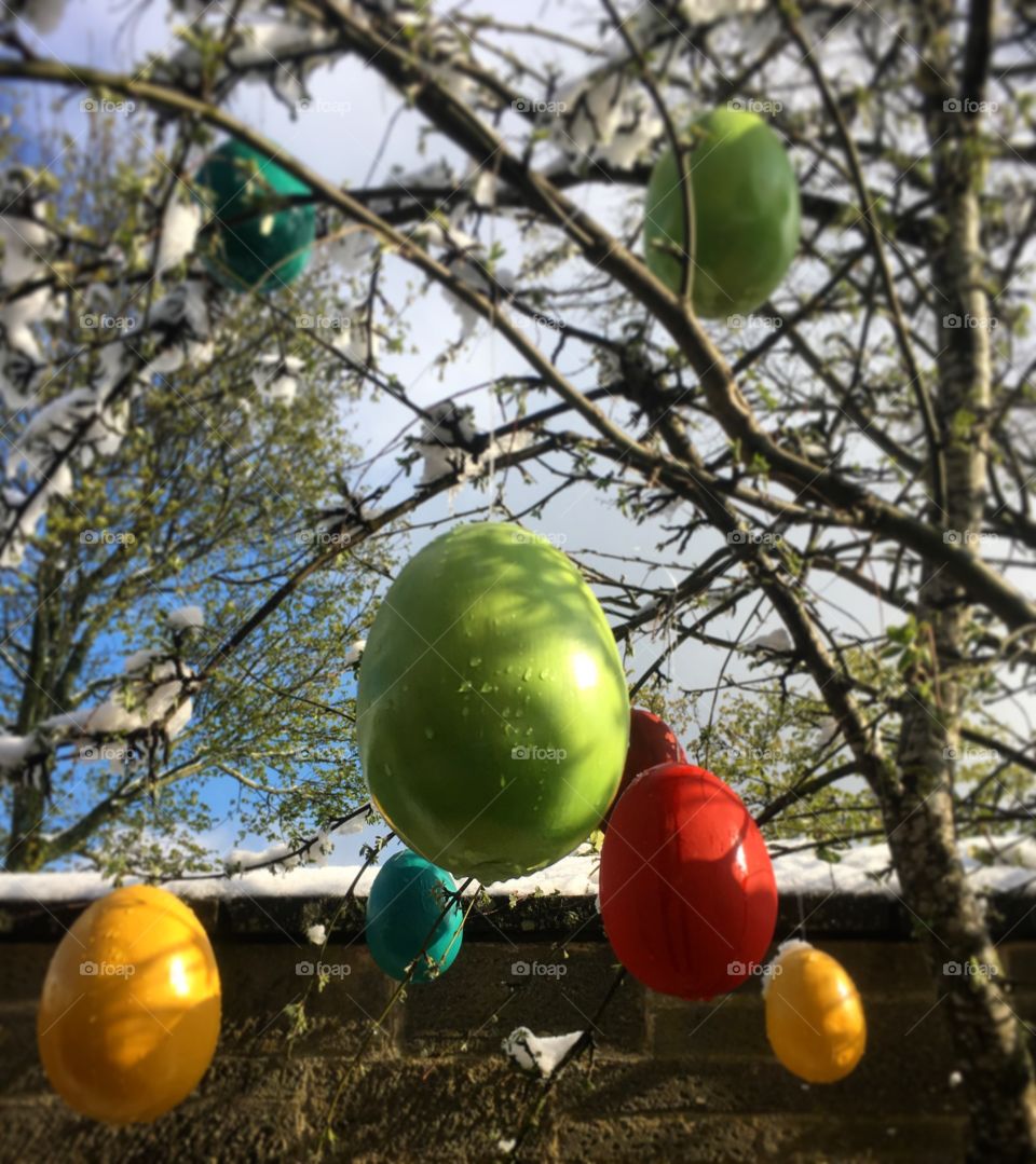 Easter eggs in a tree