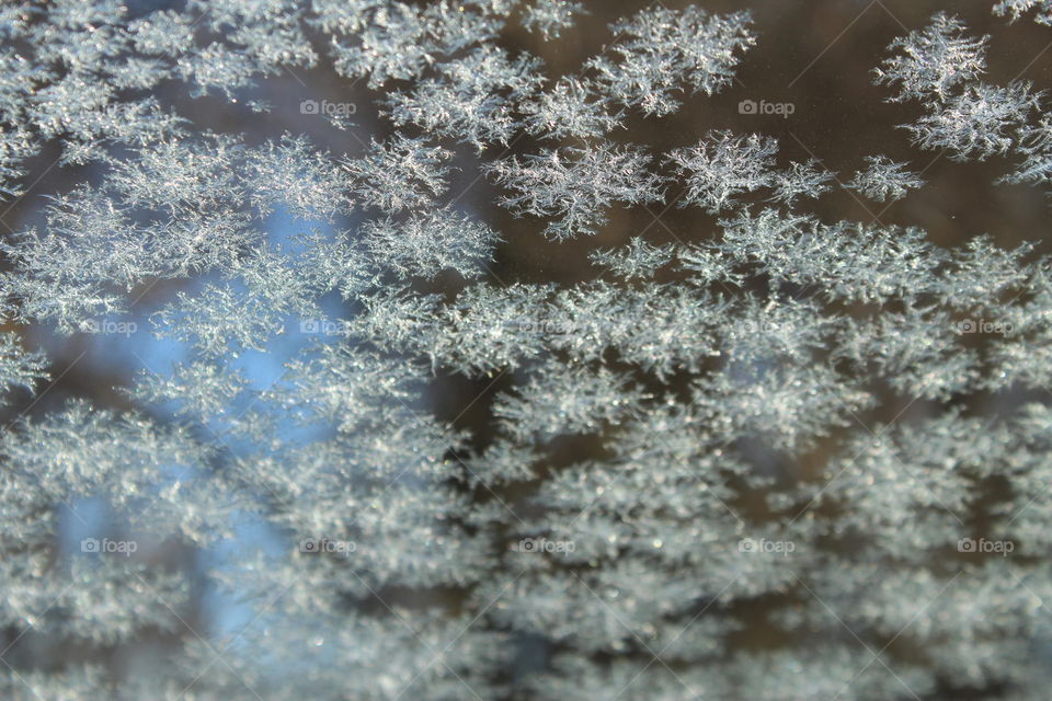 Ice crystals formed on glass