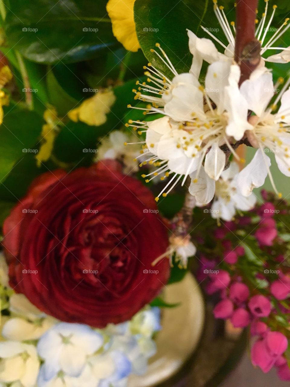 Fruit blossom with flowers