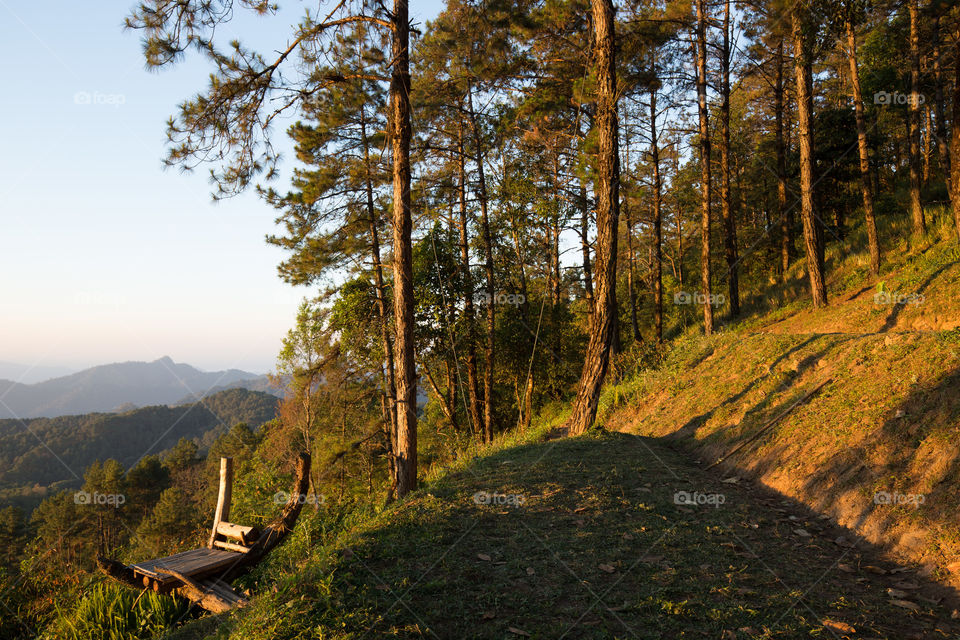 Mountain view in the forest 