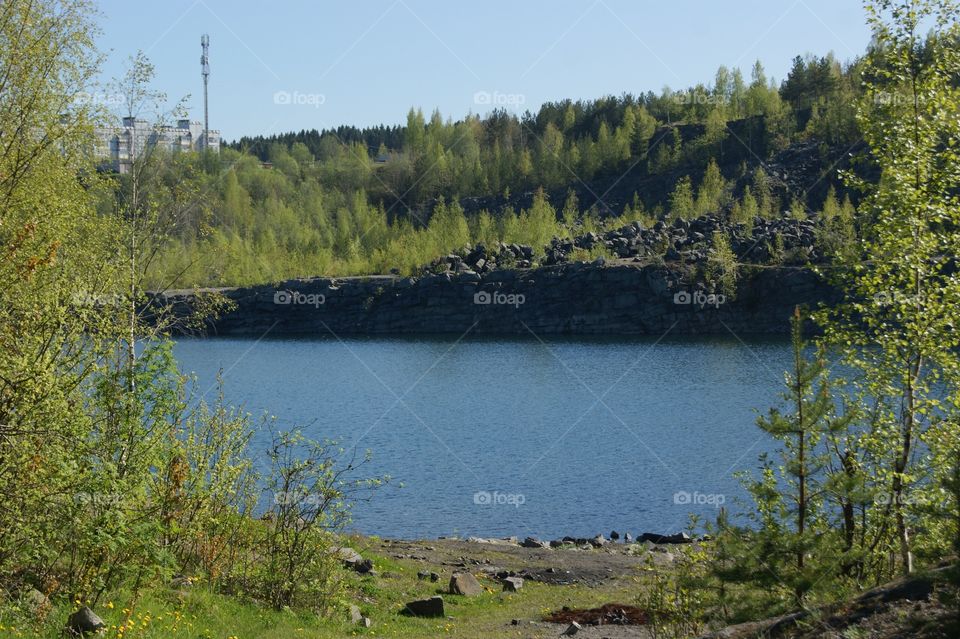 Forest and lake