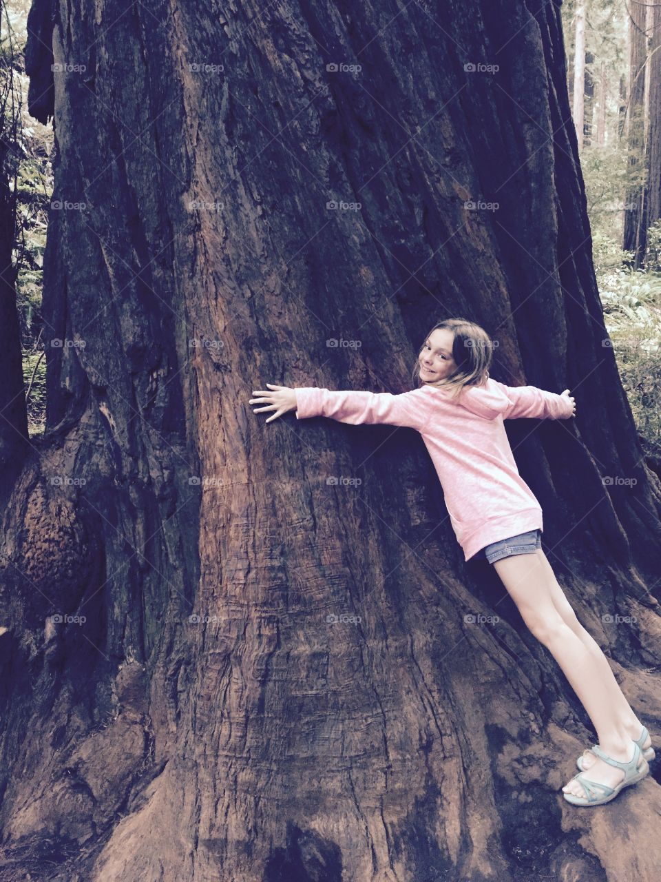 Girl with Redwood 