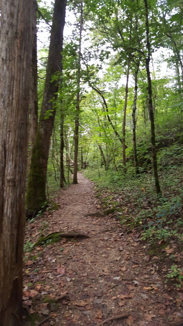 Walk with nature just not in it!