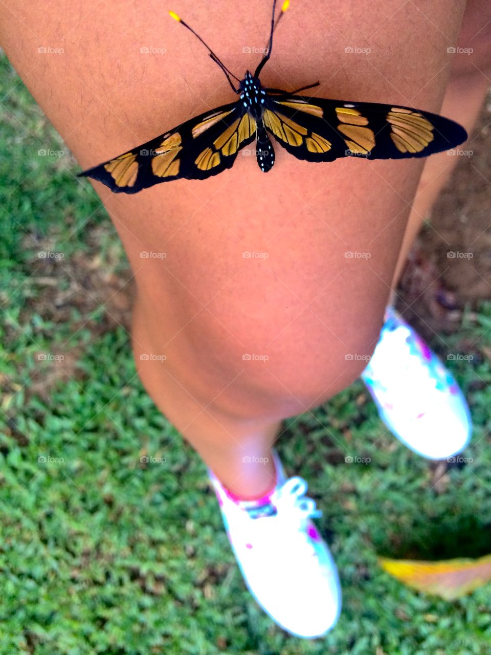 Após um dia de chuva...