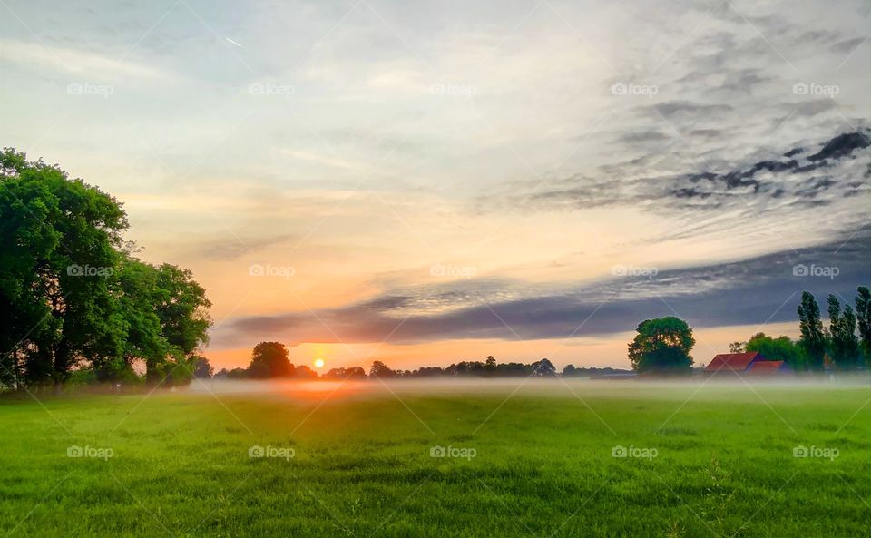 Soft glowing sunrise over a misty morning fresh green pasture on the countryside 
