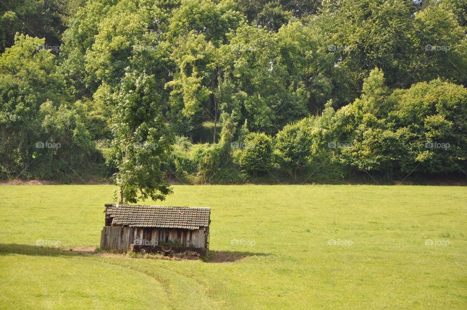 Shed On The Hill.