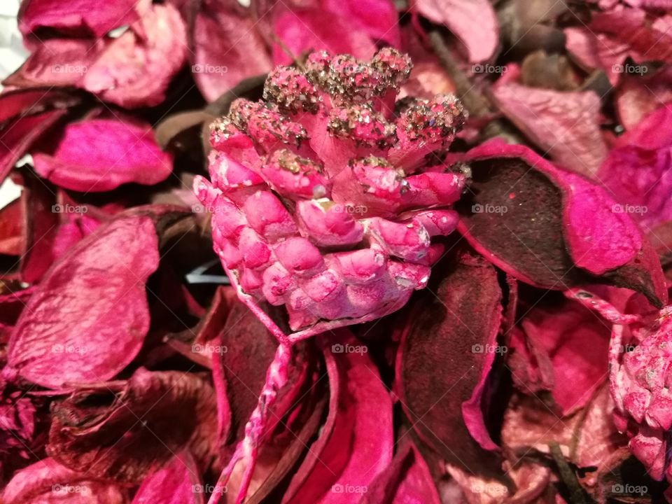 Pink pine cone - potpourri cup detail