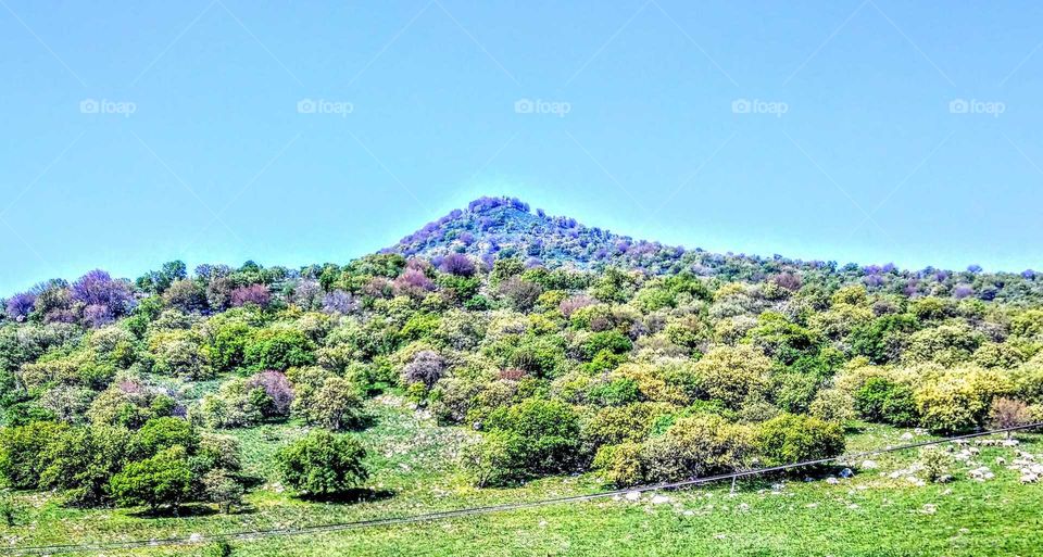 Beautiful landscape in Turkey. all trees , mountain and sky are comfortable colors for your eyes.