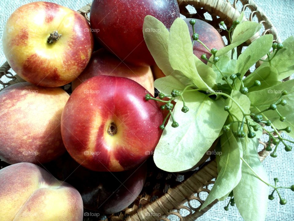 Food, Fruit, Healthy, Nutrition, Apple