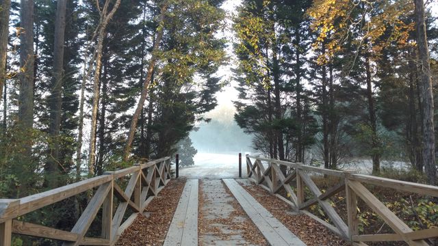 fall bridge