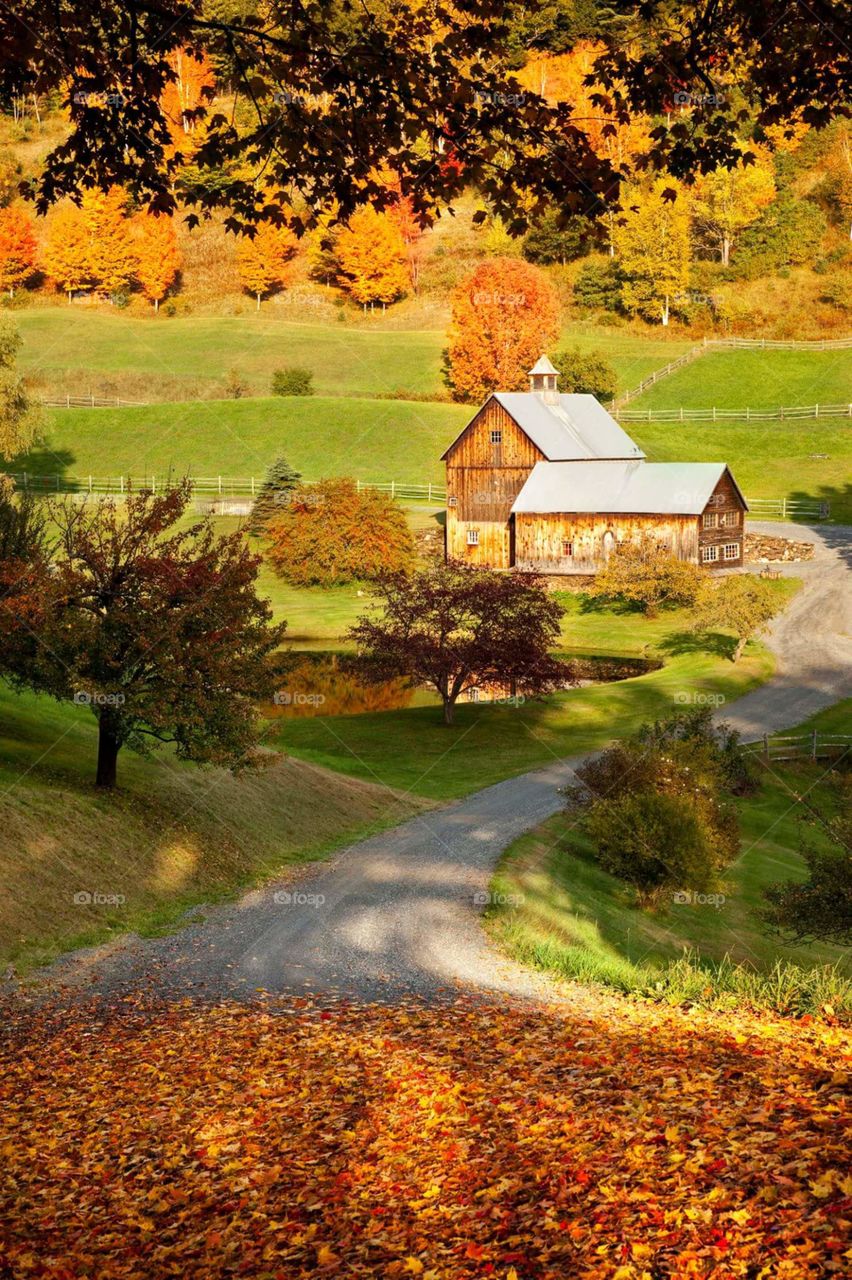 Beautiful countryside home in mid Autumn season.
