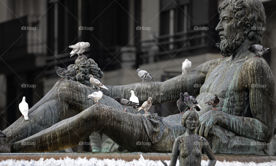 The Turia Fountain in the Plaza de la Virgen in Valencia