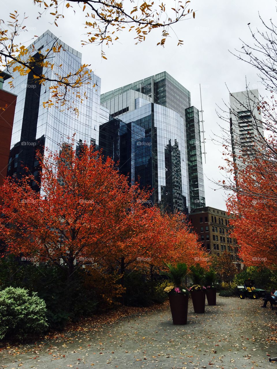 Urban fall reflections 