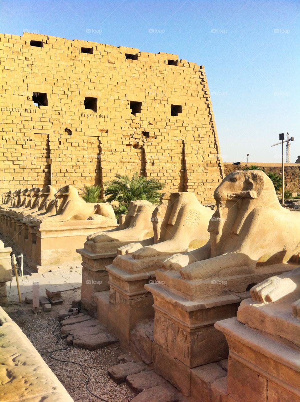 Watching guard at Karnak Temple 