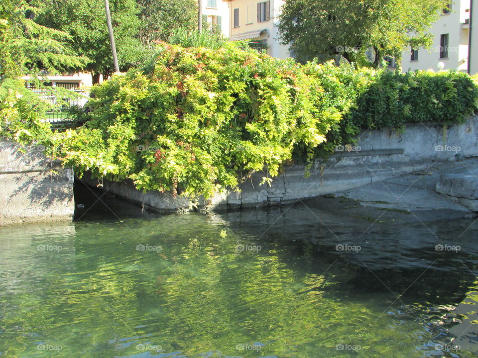 This lake Iseo in Italy has some areas where buildings show the palnts close to the water