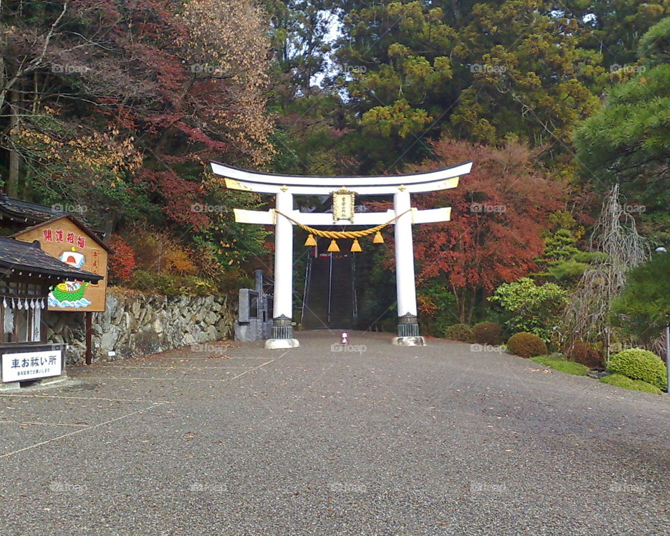 Mountain shrine Japan