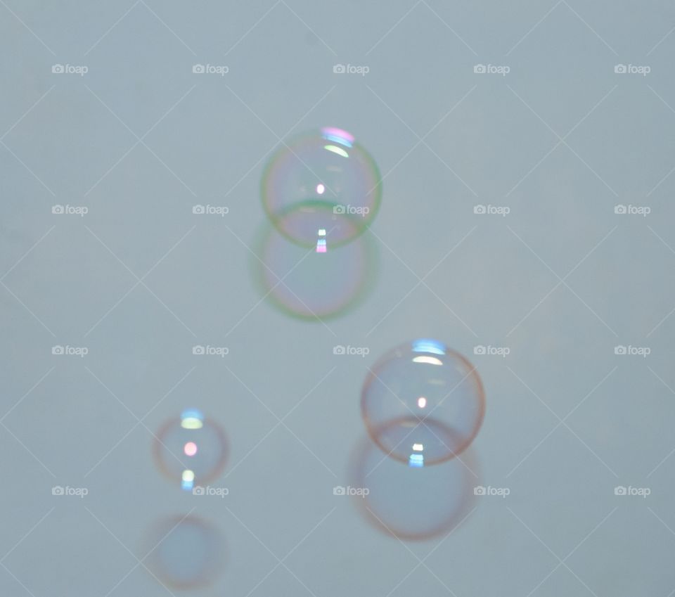 bubbles 