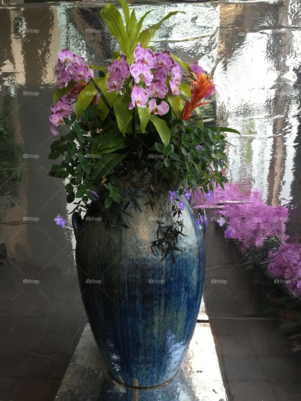 Large flowerpot