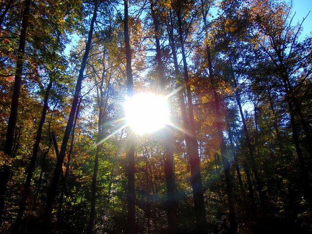 A beautiful Autumn day in Virginia!!
