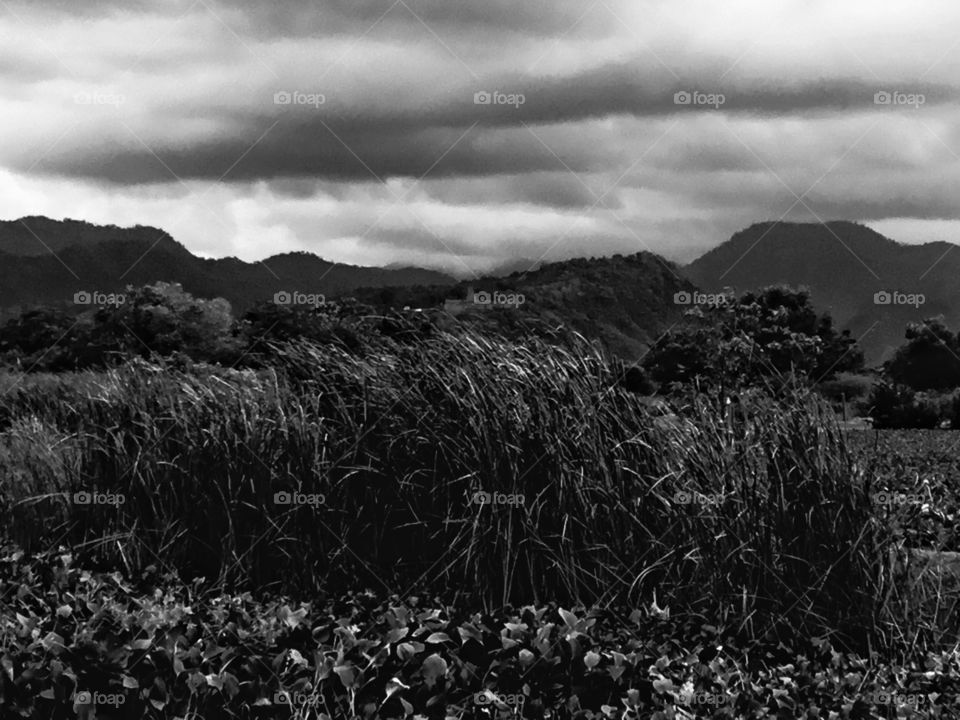 Facing misty mount Agung in Bali...
