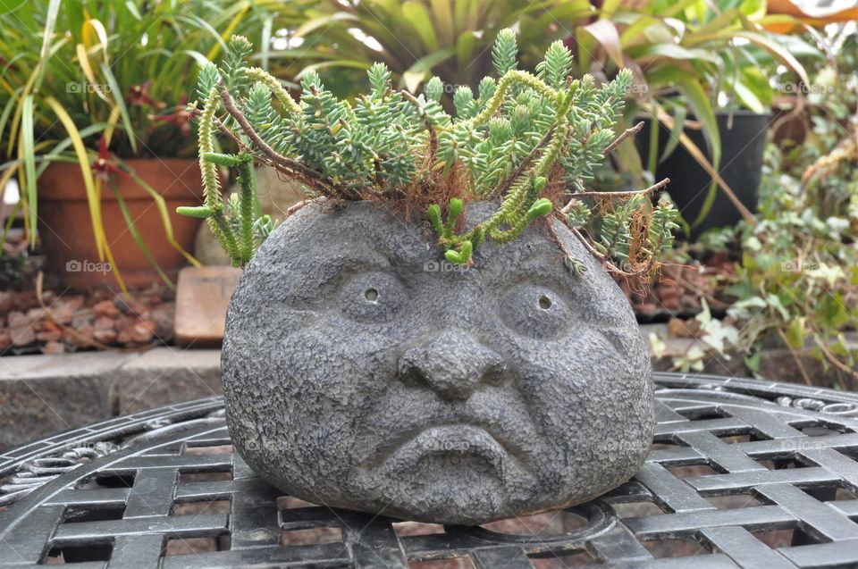 grumpy plant pot